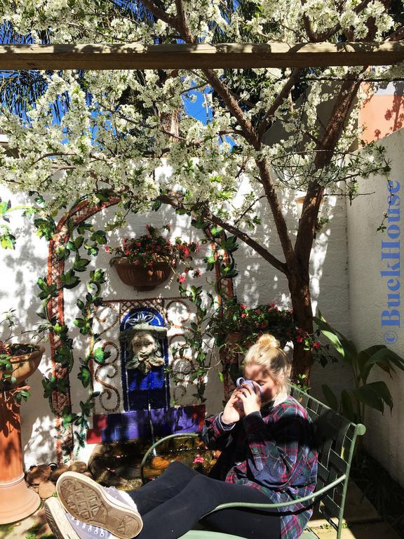 Buckhouse Elegant Village Apartment Heidelberg  Esterno foto